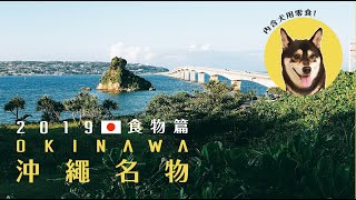 【沖繩】2019好吃名產推薦~/Okinawa購物食物篇/沖繩伴手禮開箱試吃/寵物食品/Japan/土產抽獎回饋