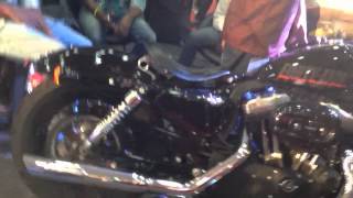 Harley davidson revving