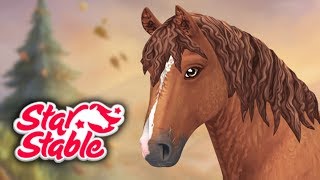 НОВАЯ КУЧЕРЯВАЯ ЛОШАДЬ в Star Stable