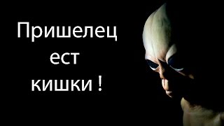 Пришелец ест кишки !