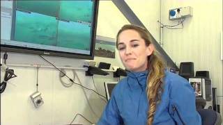 Escape Fishing with ET, Bluefin Tuna Aquaculture, Series 10 Episode 08 Clip