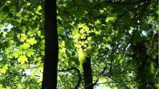 Altus - ECOTONE (Promo)