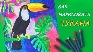 Как нарисовать птицу ТУКАНА пастелью | Уроки рисования