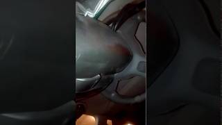 VW T5 res снятие приборной панели