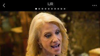 Trump advisor Kelly Ann Conway harassed at grocery store