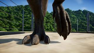 Sleeping T Rex Feet