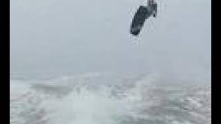 Wakeboarding Hong Kong - Dewey (EX-F1)