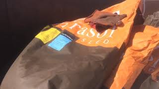 11.04.2019 посев подсолнуха Mirasol