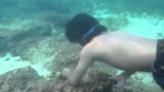Nude boys under the sea