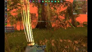 Wacko PvP