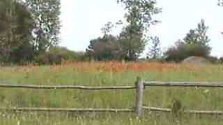 Машів - волинське село,Частина І