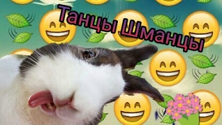 Танцую для вас! ? | В конце неудачные кадры! ? | Anastasia Music