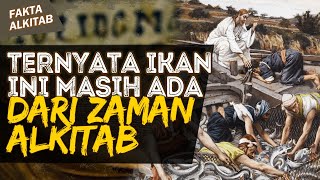 TERNYATA INI IKAN YANG TERKENAL DIKALANGAN BANGSA ISRAEL DARI ZAMAN ALKITAB | #faktaalkitab