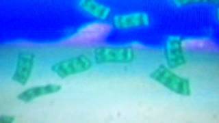 Eugine Krabs theme song