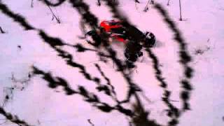 Nanda Racing SPIRIT 1/8 Rock Crawler