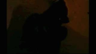 18+ P183 present  Сказка про Аленку 2005 VHSRip