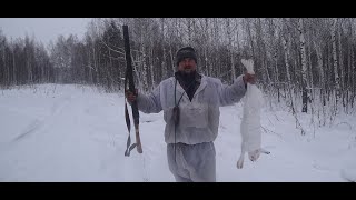 Охота на зайца с гончими #9  Сезон 2019-2020.