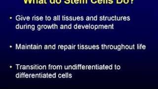Stem Cell Biology 101 - Part 1