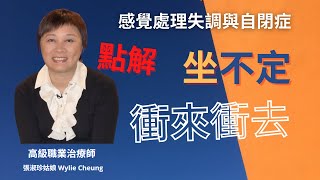 感覺統合失調與自閉症
