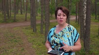 321. В.О. - Как правильно совершать покаяние?