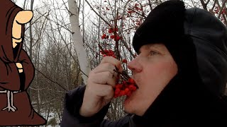 Морозный сбор грибов! Собираю Вешенку в Зимнюю погоду тихая охота в Ноябре в Самарской области