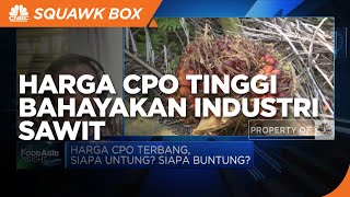 GIMNI Sebut Harga CPO Tinggi Juga Bisa Bahayakan Industri Sawit, Ini Alasannya!