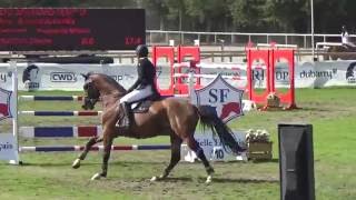 Andiamo semilly ( Diamant de semilly X Muguet du manoir ) Fontainebleau 2016