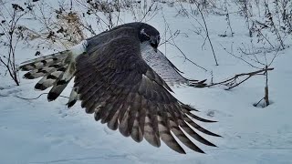 Сгоняем жирок после морозных каникул. Первый день весны