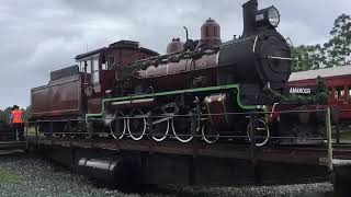 Mary Valley rattler Gympie Queensland