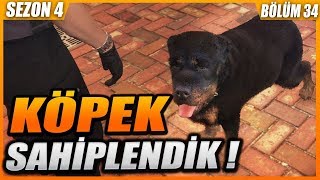 KÖPEK SAHİPLENDİK ! (İNTİKAM ALDIK) GTA 5 ROLEPLAY