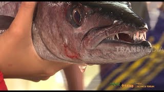 JEJAK PETUALANG | Keelokan Tana Maroso (18/12/19) Part 1