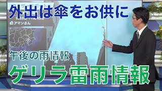 午後の雨情報（ゲリラ雷雨情報）