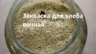 Закваска для хлеба вечная. #суфикс