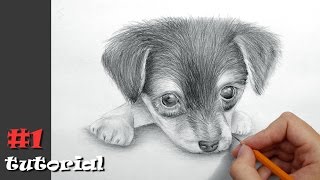 Как нарисовать собаку карандашом - обучающий урок с объяснением!