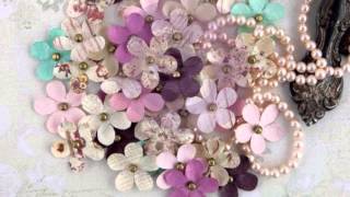 New CHA releases from Prima