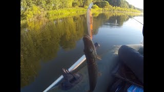 Китайская новинка воблер  на   Nories Laydown Minnow Mid 110,был разловлен на первой рыбалке