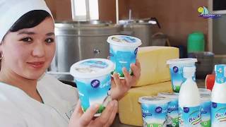 ЖИГАРНИ УЙ ШАРОИТИДА ДАВОЛАШ ЮЛИНИ АЙТИБ УТАМАН
