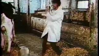 This is the Law 1976 TV opening