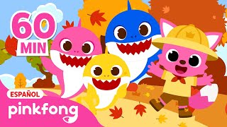 Me Gusta el Otoño | Maratón de los Mejores Videos Infantiles para el Otoño | Pinkfong en español
