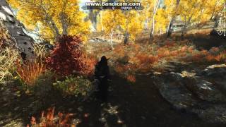 Skyrim Purevision ENB 1.3 Natural Grass Textures & SFO 1080p