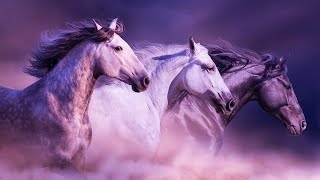 Deep Healing Frequency | 432Hz Music For Meditation | Spiritual Harmony | Zen Music Positive Energy