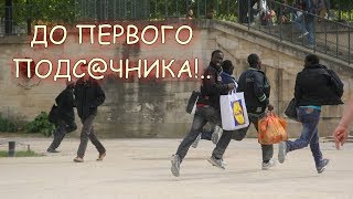"Русия!": европейские арабы в панике бежали от русской журналистки