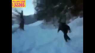 Перебежит Делайте ставки! Юмор! Прикол! Смех