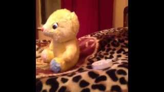 vulgar bear (ep1) / развратный мишка (эп.1)