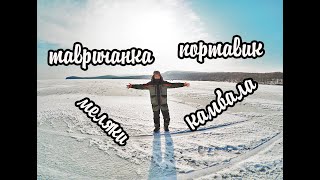 РЫБАЛКА. ТАВРИЧАНКА. ПОРТАВИК КОМБАЛИНОЕ МЕСТО.УЖАС В ТУМАН НА РЫБАЛКУ .