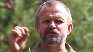Травовед Василек Рассказывает Моряков Сергей Викторович