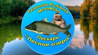 Как поймать Пескаря на Лесном озере | Реальная Рыбалка