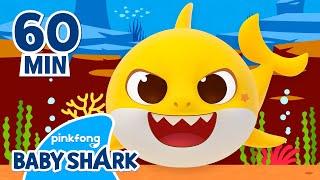 Where is Baby Shark's Color? | +Compilation | Learn Colors with Songs 