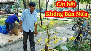 Thà chặt bỏ chứ không bán rẻ Chợ Hoa Chiều 30 tết được mùa mất giá
