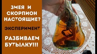 ЗМЕЯ И СКОРПИОН.  ЛЕКАРСТВО ИЛИ ФАЛЬШИВКА. РАЗБИВАЕМ БУТЫЛКУ.